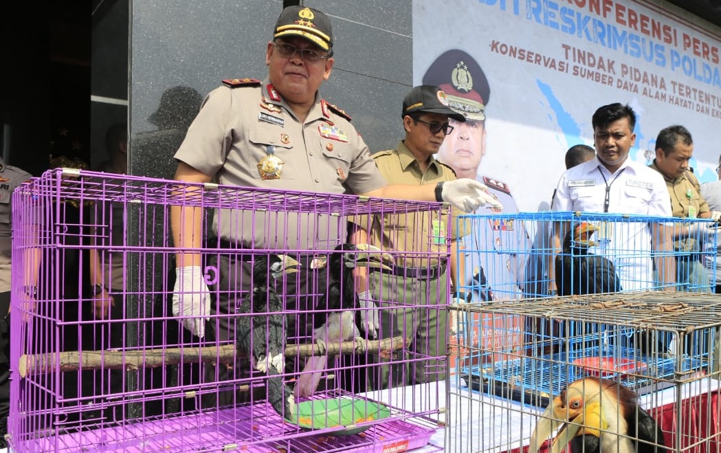 Kapolada Jawa Timur, Irjen Pol Luki Hermawan saat melihat barang bukti berupa burung langka, yang diamankan dari tersangka di Mapolda Jatim Surabaya, Selasa 4 Februari 2020. (Foto: Fariz/ngopibareng.id)