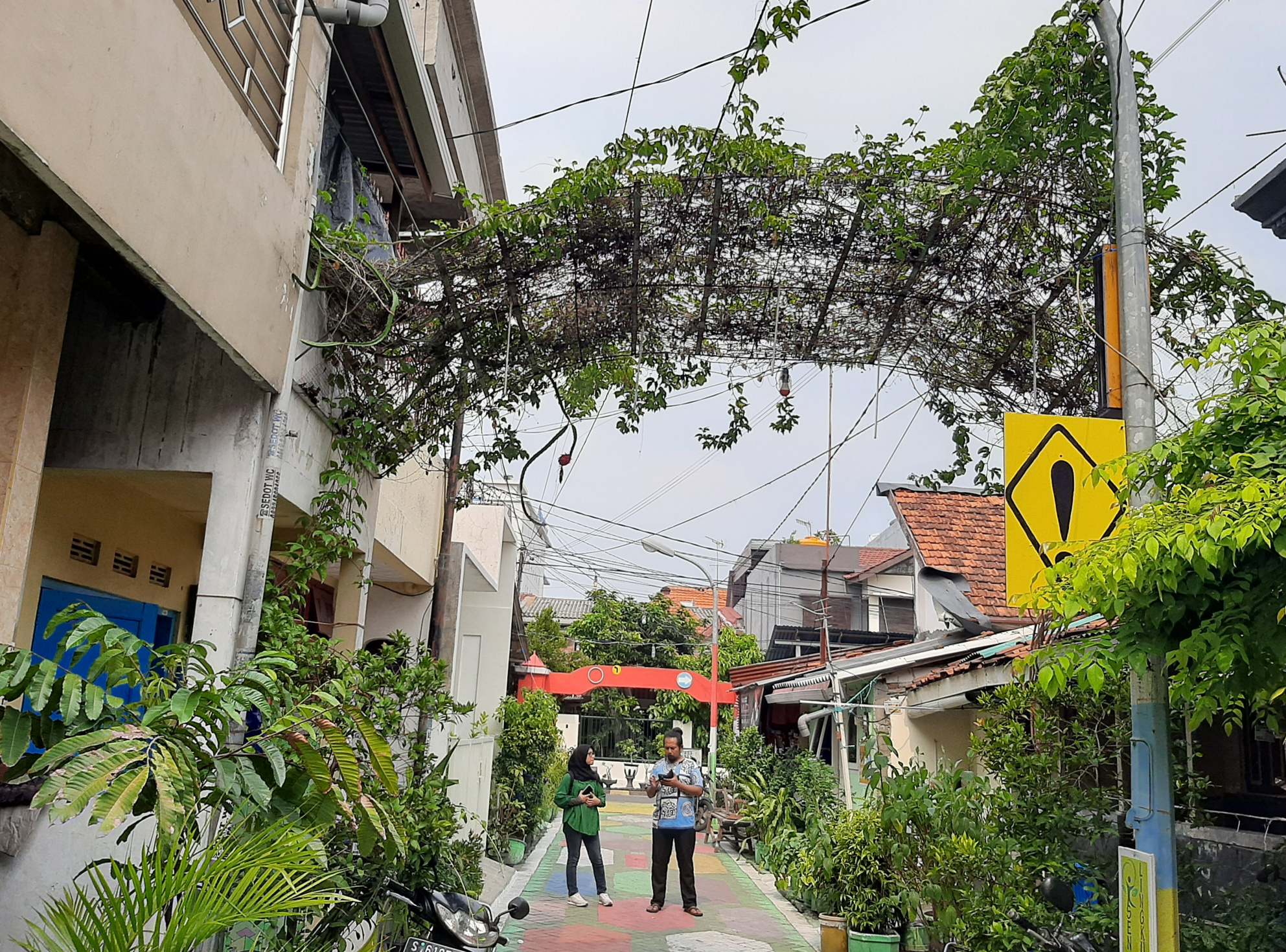 Suasana kampung Kembang Kuning 1 yang dijuluki kampung markisa Surabaya. (Foto: Pita/Ngopibareng.id)