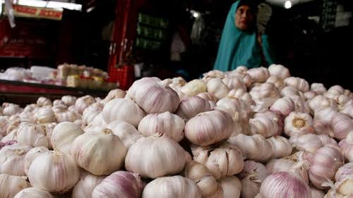 Ilustrasi bawang putih. (Foto: Dok/Antara)