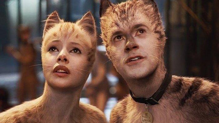 Film Cats.