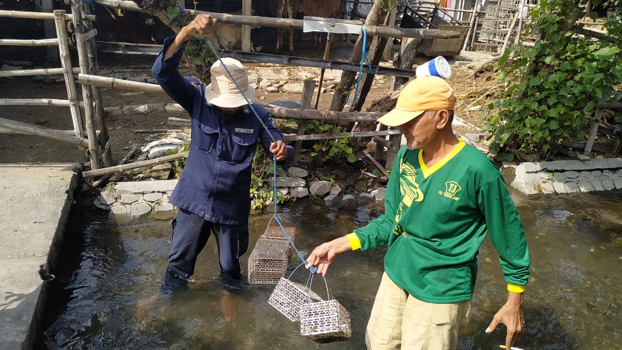 Para petani dengan hasil tikus tangkapan mereka. Mereka serentak basmi tikus difasilitasi Dinas Pertanian dan Perkebunan Kabupaten Kediri, Kamis 13 Februari 2020. (Foto: Fendhy/ngopibareng.id)  