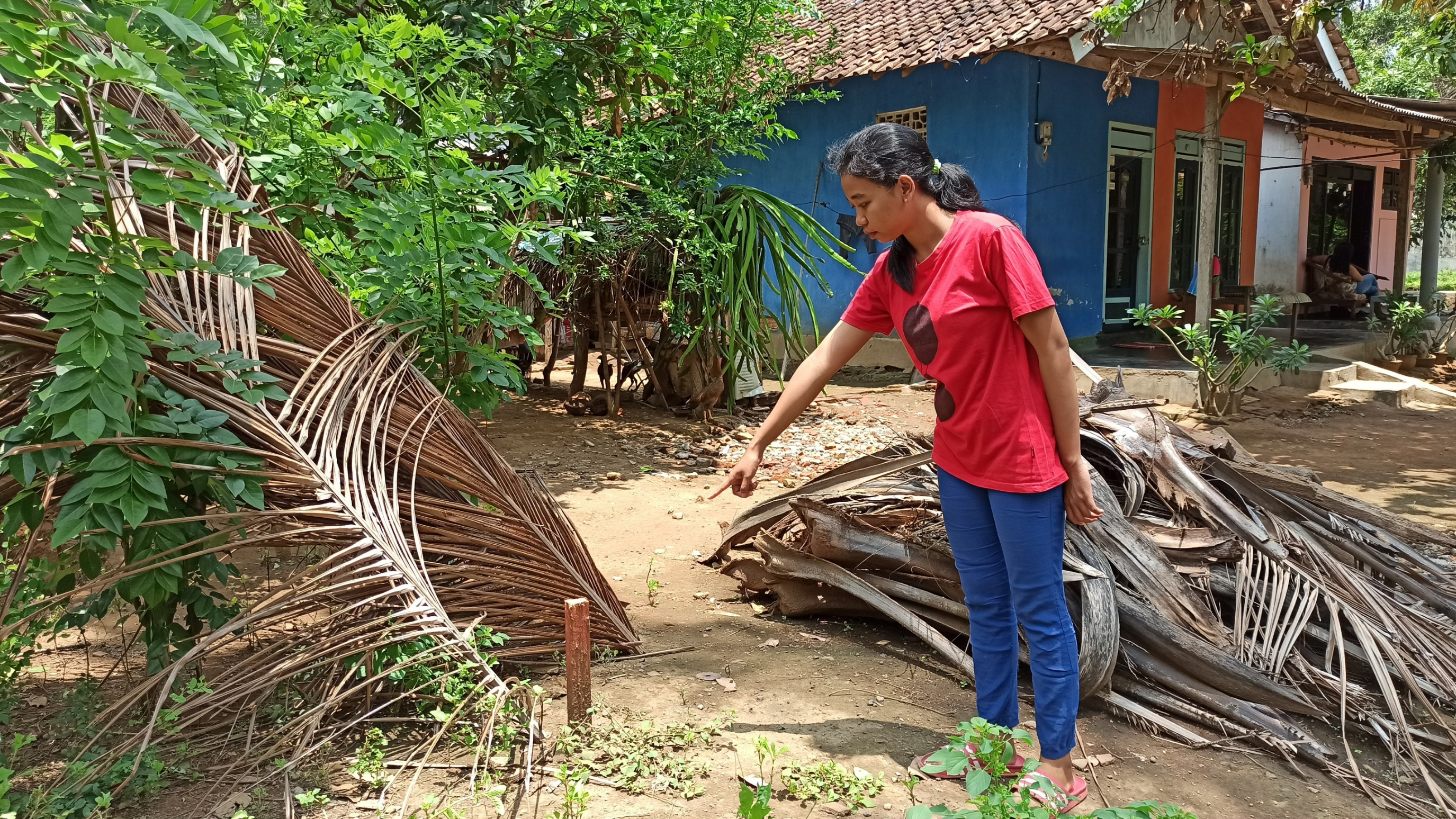 Nurul Kholifah menunjukkan patok dari kayu yang menurutnya dipasang pihak jalan tol (foto : muh hujaini/ngopibareng.id)