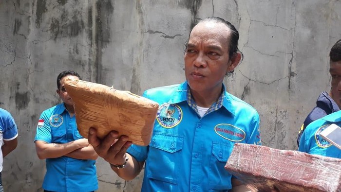 Petugas BNN memperlihatkan ganja kering siap edar yang berhasil mereka amankan. (Foto: Dok/BNN)