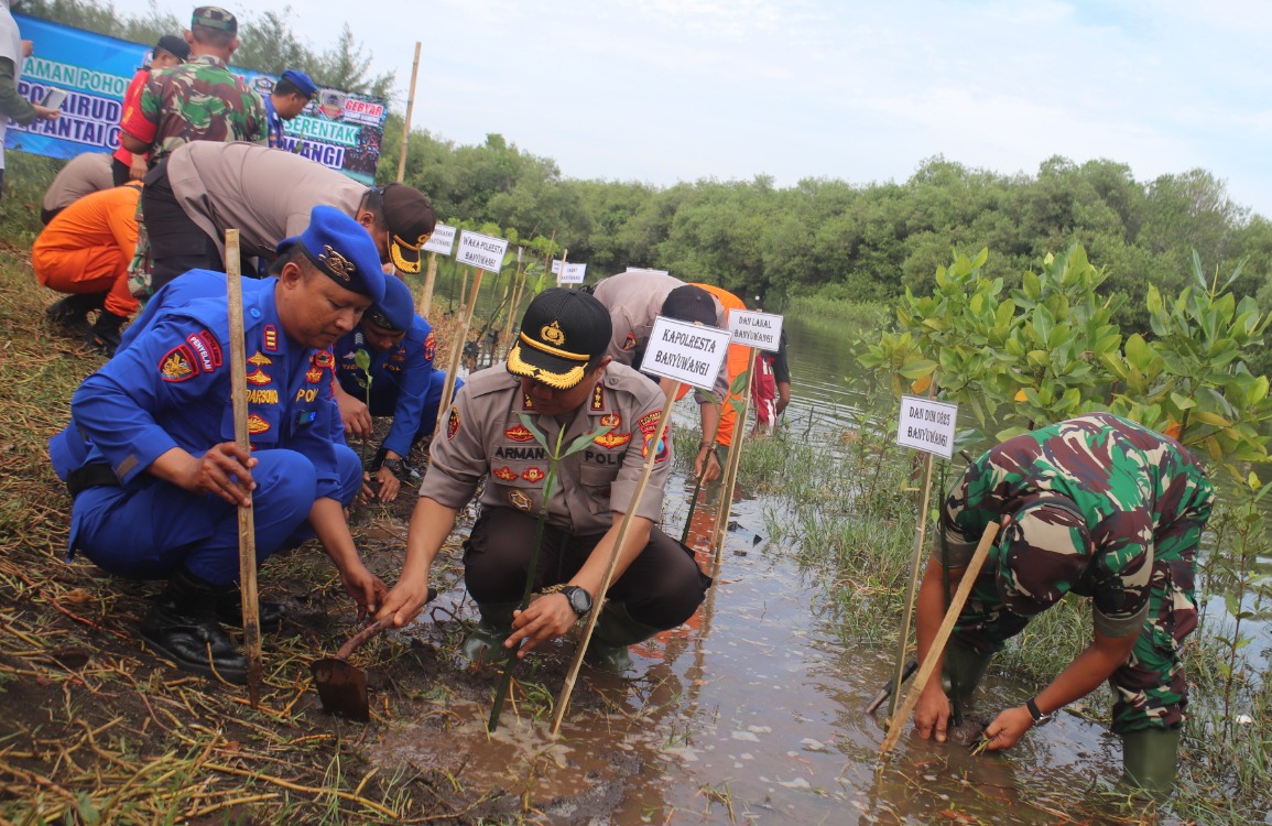 Penanaman pohon mangrove yang dilakukan TNI-Polri di sekitar Pantai Cemara. (Foto: Muh. Hujaini/Ngopibareng.id)