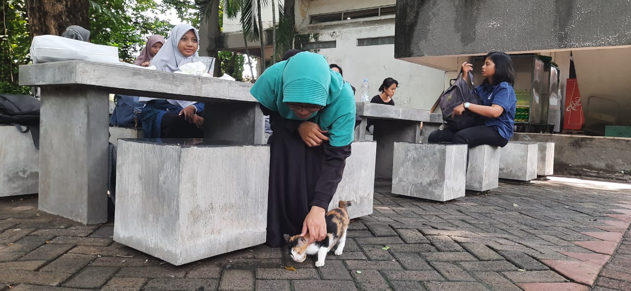 Ilustrasi keberadaan kucing di wilayah ITS. (Foto:istimewa)