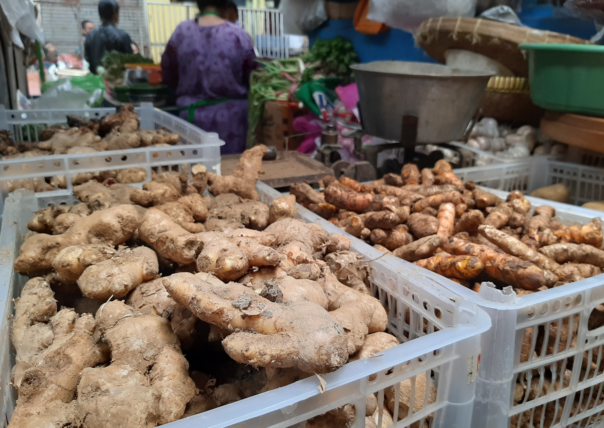 Stok empon-empon yang ada di salah satu penjual pasar Soponyono, Rungkut. (Foto: Pita Sari/Ngopibareng.id)