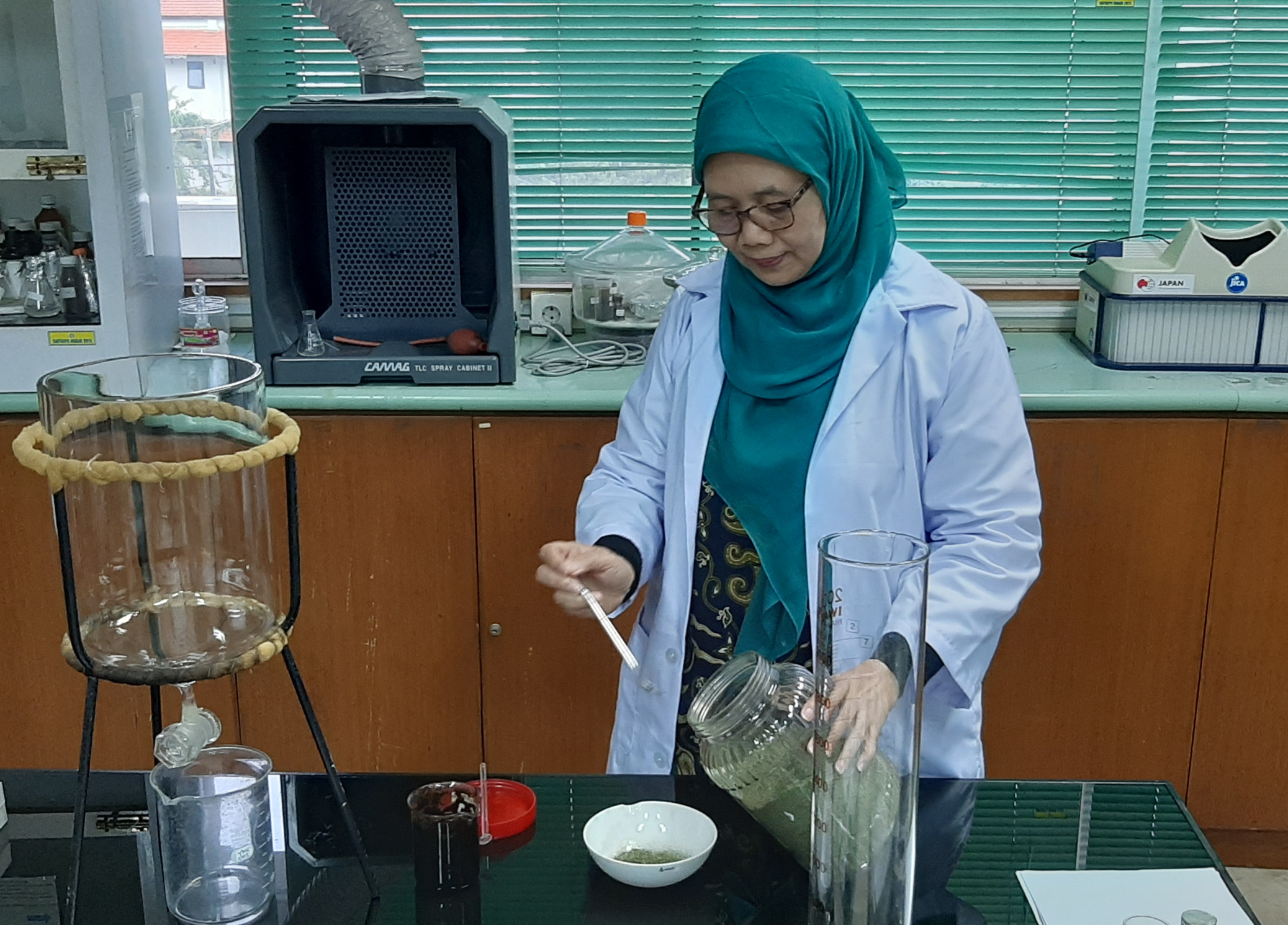 Dr. Aty Widyawaruyanti, M.Si.,Apt, Ketua Departemen Farmakognosi dan Fitokimia Universitas Airlangga (Unair) saat menunjukan daun sambiloto kering. (Foto: Pita/Ngopibareng.id)