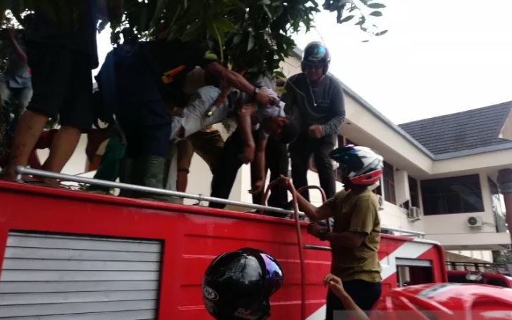  Seorang petugas kebersihan (cleaning service) tersengat aliran listrik saat berniat memetik buah mangga di pelataran tempat kerjanya, di Kantor Perumahan dan Kawasan Pemukiman Provinsi Maluku, Kamis 5 Maret 2020. (Foto: Antara/Daniel Leonard)