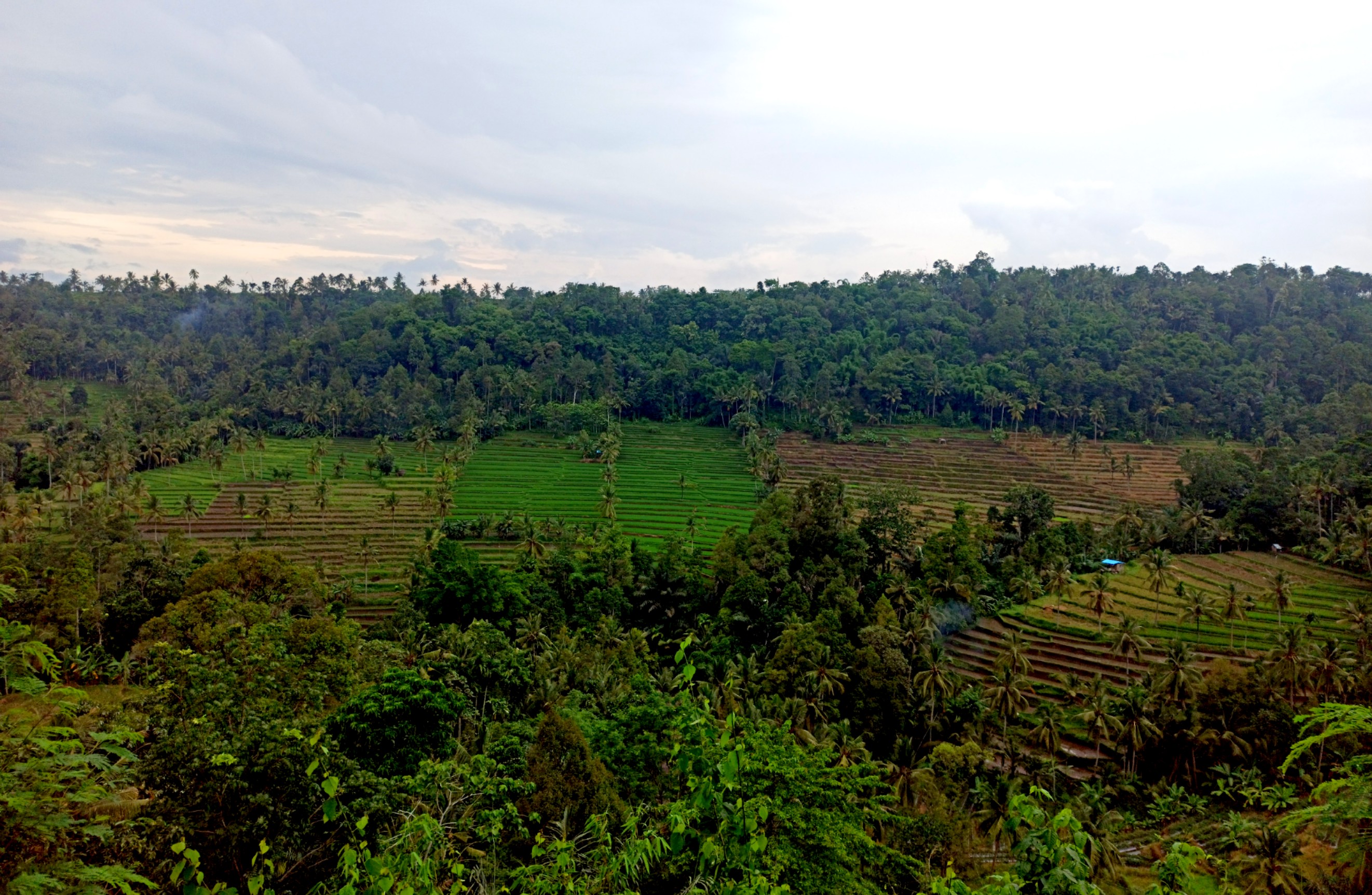 Dari kejauhan tampak bukit Sumber Kuro. Dibalik bukit inilah tempat ditemukan Relief Saulah. (Foto: Muh. Hujaini/Ngopibareng.id)
