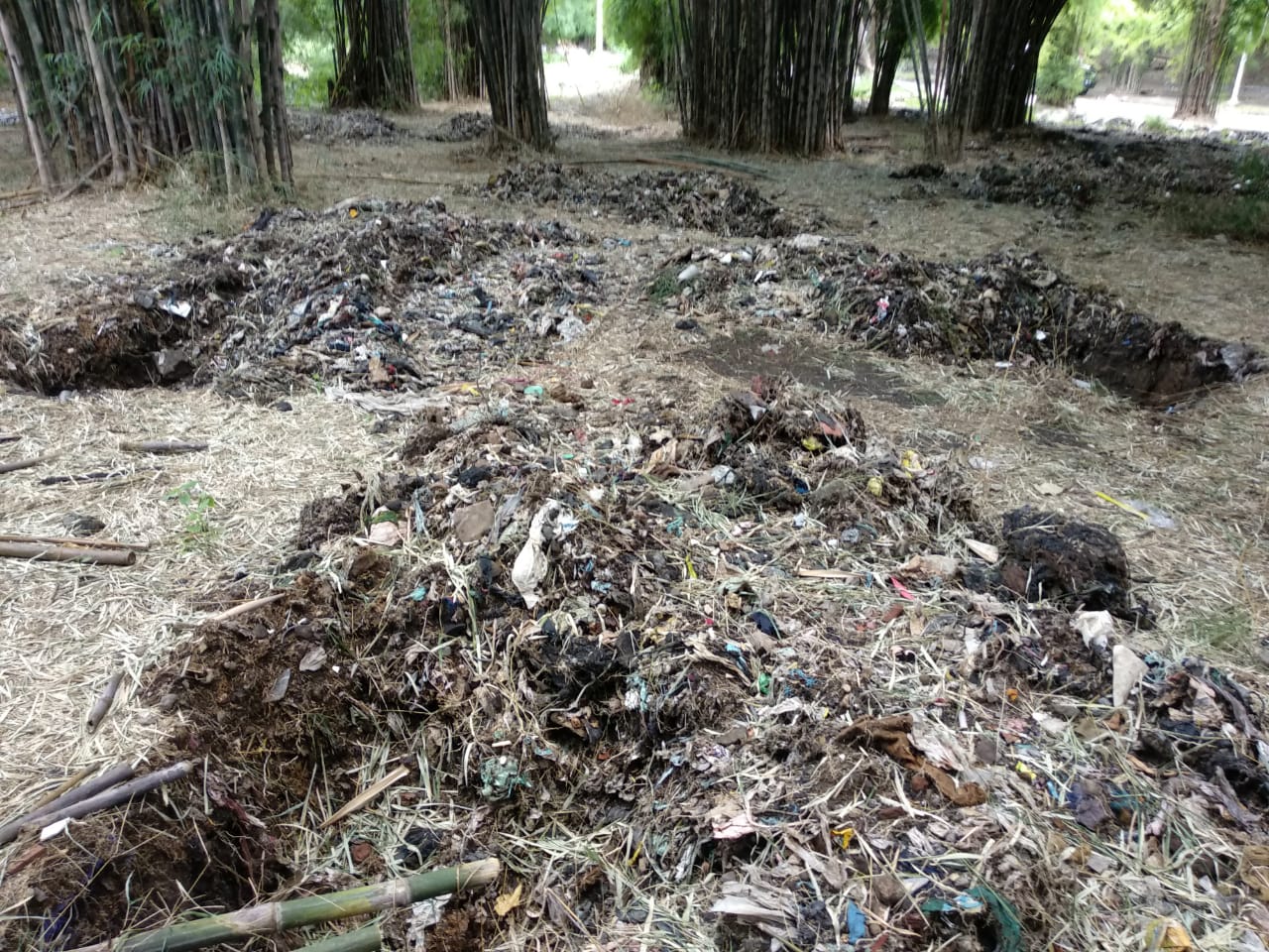 Pemandangan bagian belakang Hutan Bambu Keputih, Surabaya, Minggu 22 Maret 2020. (Foto: Rizqi Mutqiyyah/Ngopibareng.id)