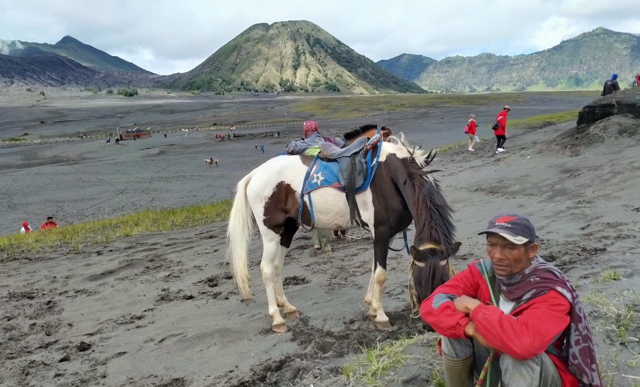 Salah satu 'tukang ojek' kuda di Gunung Bromo, Kabupaten Probolinggo, Jawa Timur, sepi wisatawan sejak Covid-19 merebak. (Foto: Ikhsan Mahmudi/Ngopibareng.id)