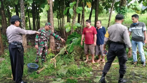 Lokasi kejadian korban tersambar petir di Jombang, Jawa Timur. (Foto: Istimewa)