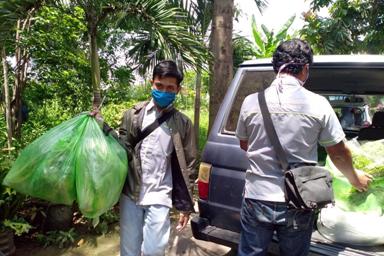 Komunitas hidroponik membagi sayur di Kediri. (Foto:Ngopibareng.id)