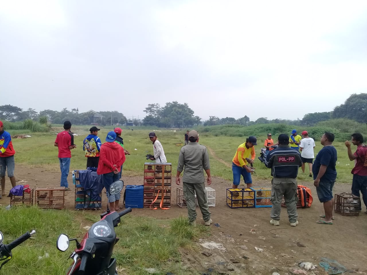 Satpol PP bubarkan adu balap merpati. (Foto: Fendhy Plesmana/Ngopibareng.id))