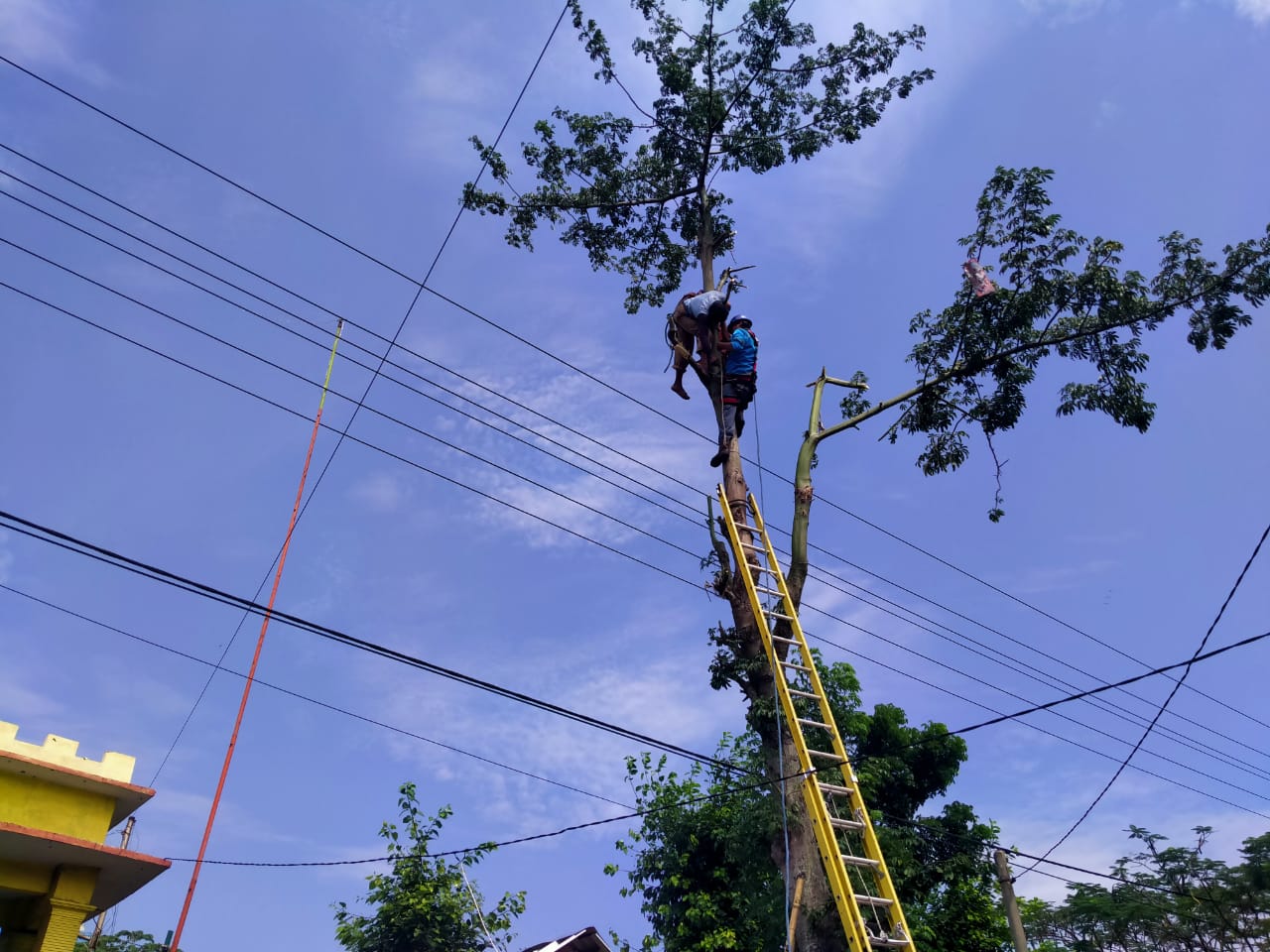 Proses evakuasi korban yang tersangkut di pohon randu. (Foto: Fendhy Plesmana/Ngopibareng.id)