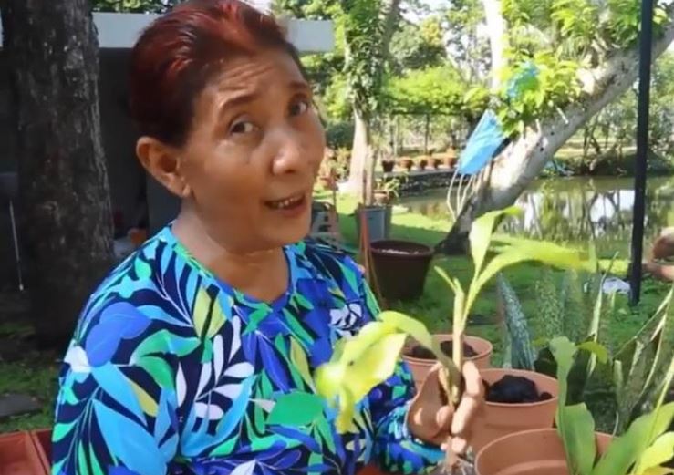 Mantan Menteri Kelautan dan Perikanan Susi Pudjiastuti. (Foto: Instagram)