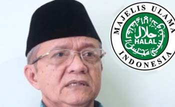 Sekretaris Jenderal MUI, Anwar Abbas. (Foto:Antara)