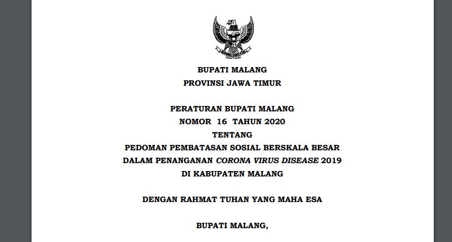 Peraturan Bupati Malang Nomor 16 Tahun 2020 tentang penerapan PSBB di wilayahnya. (Tangkapan Layar)