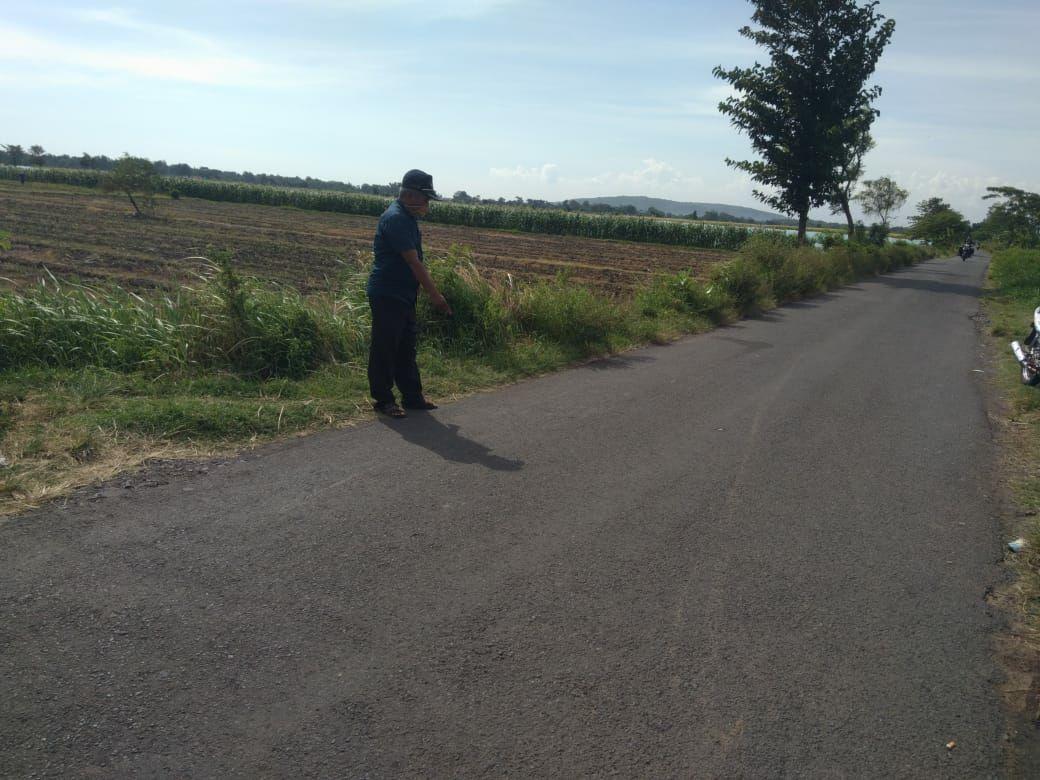 Perangkat Desa Sumbersuko, Saifullah menunjukkan lokasi begal asusila beraksi. (foto: Ikhsan Mahmudi/ngopibareng.id)