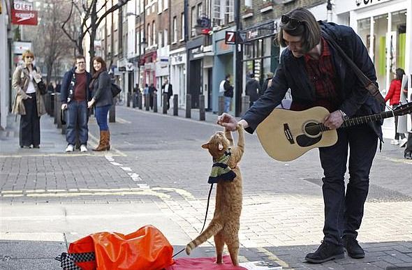 Kucing oren Bob dan James Bowden, saat mengamen di London. (Reuters)