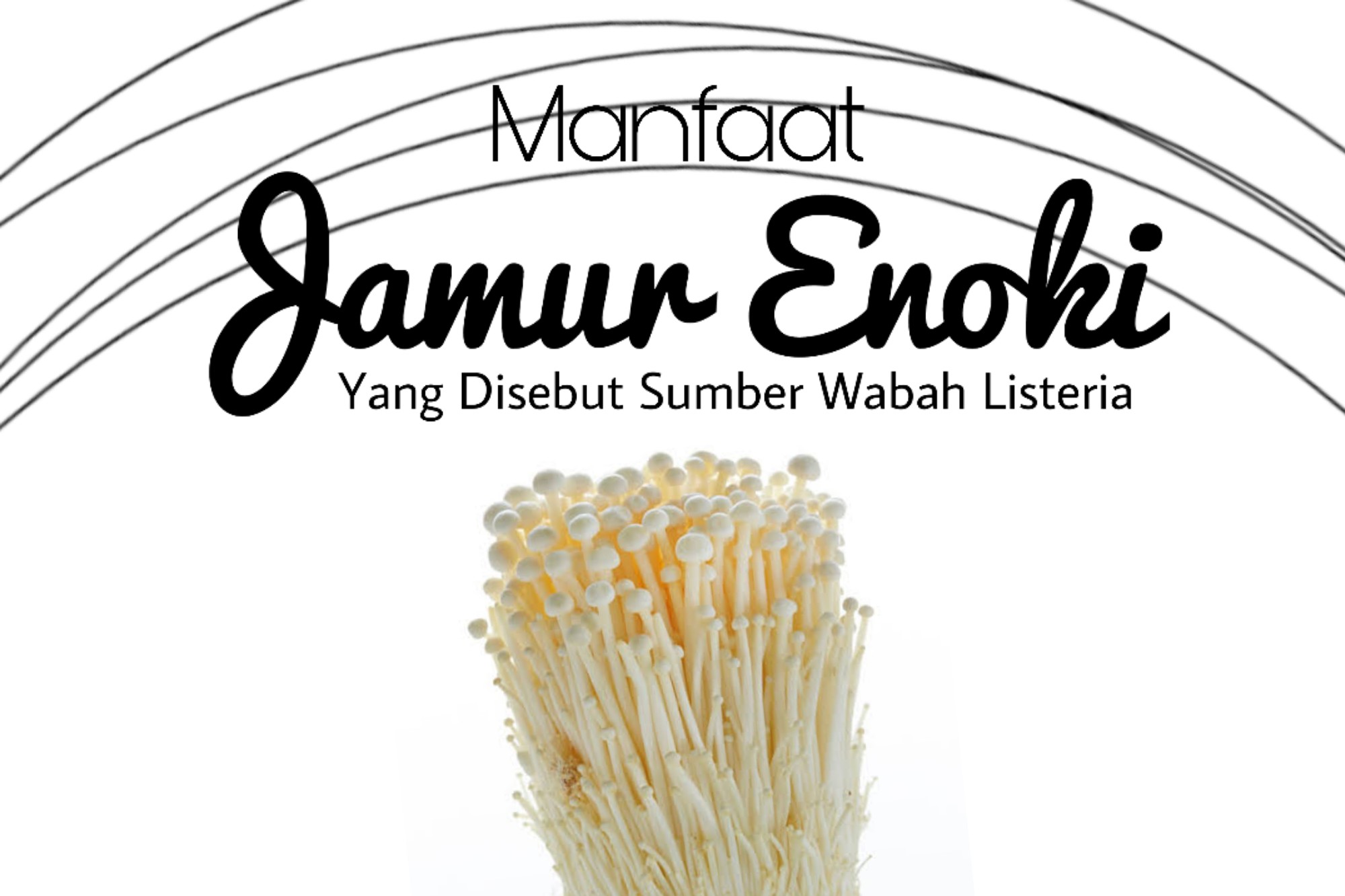 Ilustrasi jamur enoki. (Grafis: Fa Vidhi/Ngopibareng.id) 