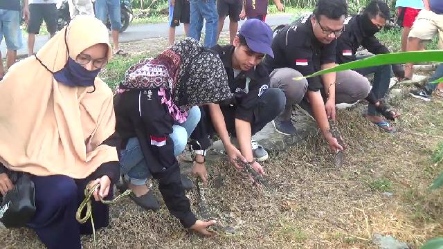 Lepas satwa pemangsa tekan populasi hama 