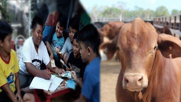 Hewan kurban dan uang kepedulian anak-anak Muslim. (Foto: istimewa)