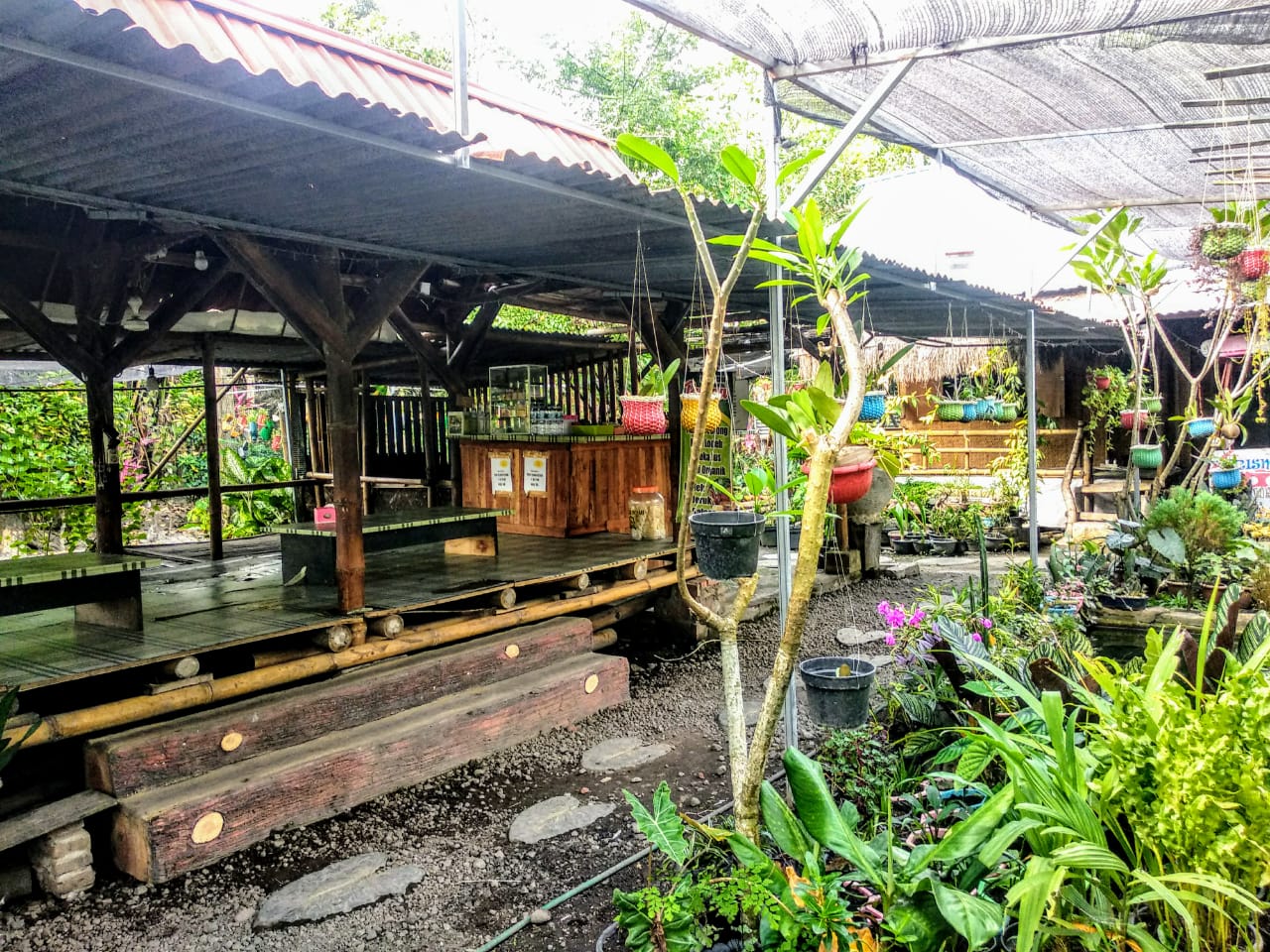 Asrinya Warung Bunga, warung di tengah rerimbunan bunga dan persawahan di Dusun Jatirejo, Desa Jatirejo, Kecamatan Diwek, Kabupaten Jombang (Foto: M.Rizqi/Ngopibareng.id)