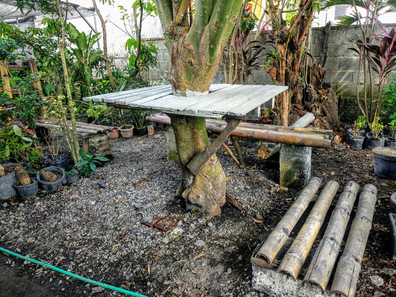 Tempat nongkrong dari bambu yang asik dan alami (Foto: M.Rizqi/Ngopibareng.id)