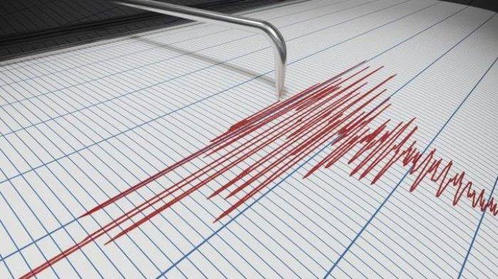 Ilustrasi seismograf atau alat pencatat gempa (foto: istimewa)