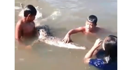 Buaya bermain dengan para bocah di Nunukan, Kalimantan Utara (Foto: Dok @makassar_iinfo)