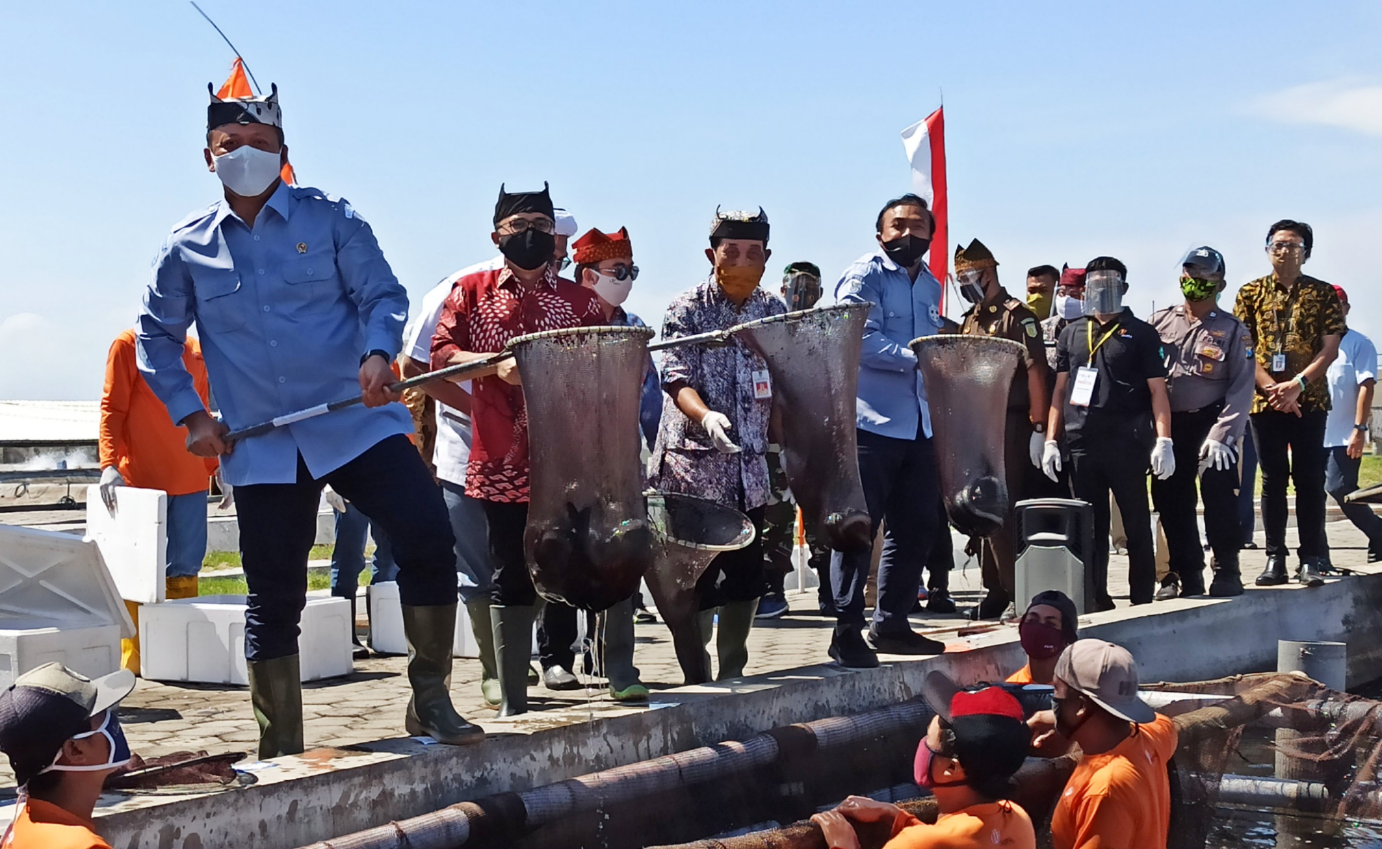 Menteri Kelautan dan Perikanan Edhy Prabowo didampingi Bupati Banyuwangi Abdullah Azwar Anas memanen sidat di tempat pembudidayaan sidat Desa Bomo, Kecamatan Blimbingsari, Banyuwangi, Jawa Timur. (Foto: Muh Hujaini/Ngopibareng.id)