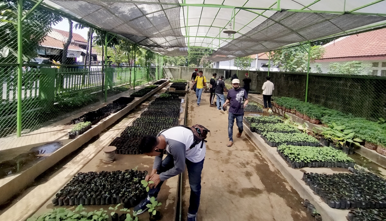 Budidaya tanaman urban farming, di Kantor DKPP Surabaya (dok. Humas Pemkot)