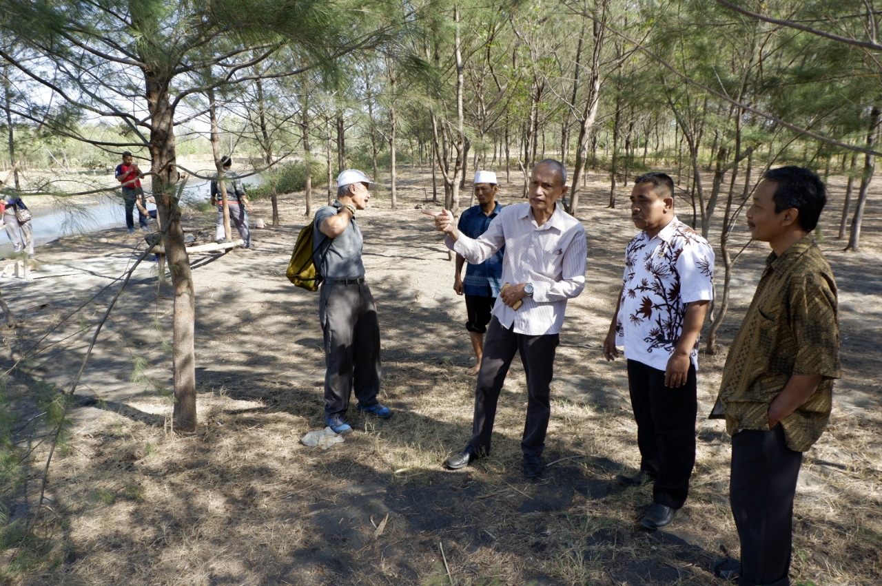 Sejumlah warga tampak berwisata di Pantai Permata yang ditumbuhi hutan bakau dan cemara udang. (Foto: Ikhsan Mahmudi/ngopibareng.id)