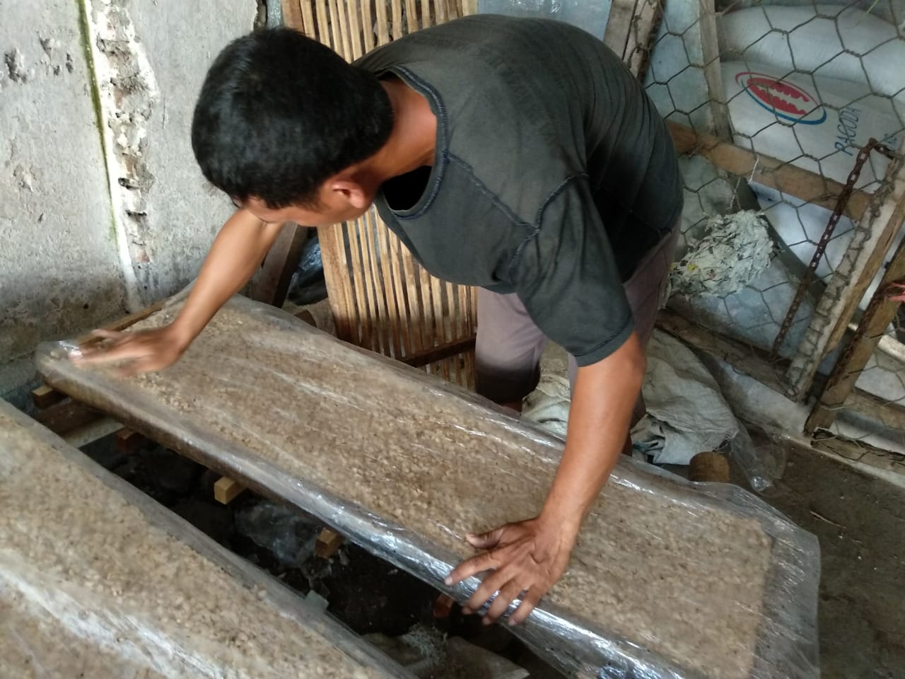 Salah satu karyawan menata kedelai di papan kayu berlapiskan plastik. (Foto: M.Rizqi/Ngopibareng.id)
