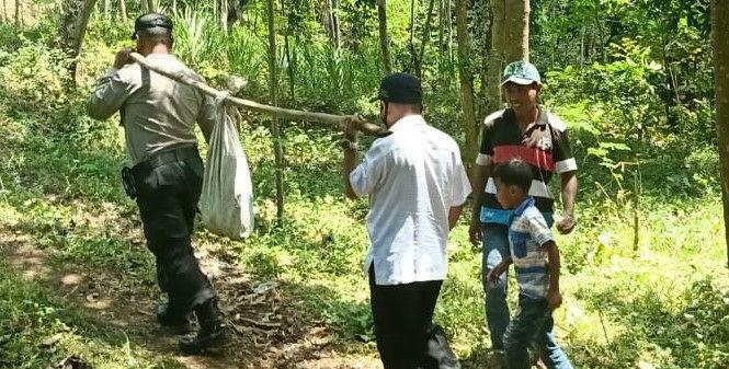 Polisi dari Polsek Kuripan mengevakuasi mayat terpotong di dasar sungai dengan cara dipikul. (foto: Ikhsan Mahmudi/Ngopibareng.id)