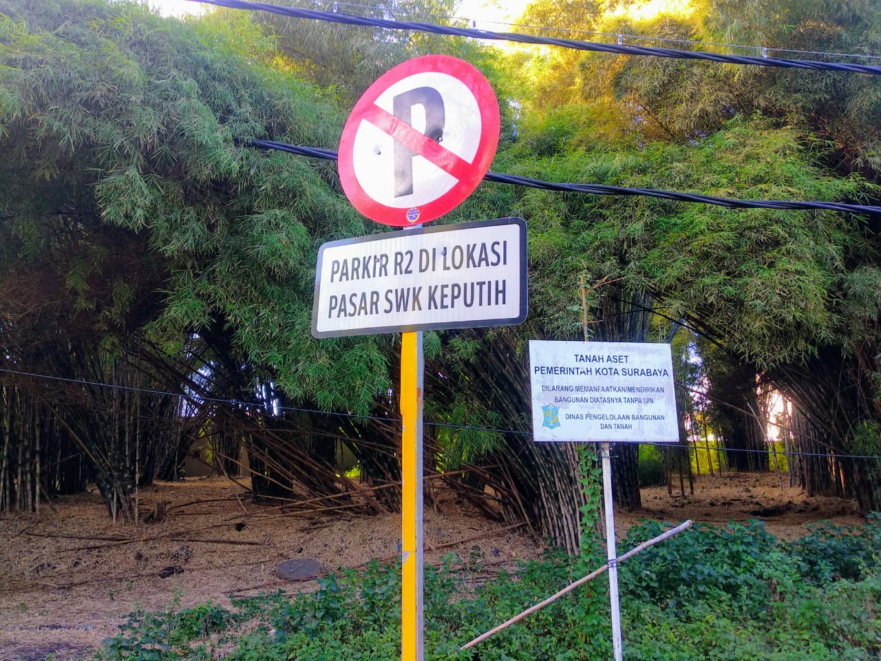 Area luar hutan bambu Keputih, Surabaya. Terdapat palang larangan parkir serta informasi tanah aset milih pemerintah kota Surabaya (Foto: M.Rizqi/Ngopibareng.id)