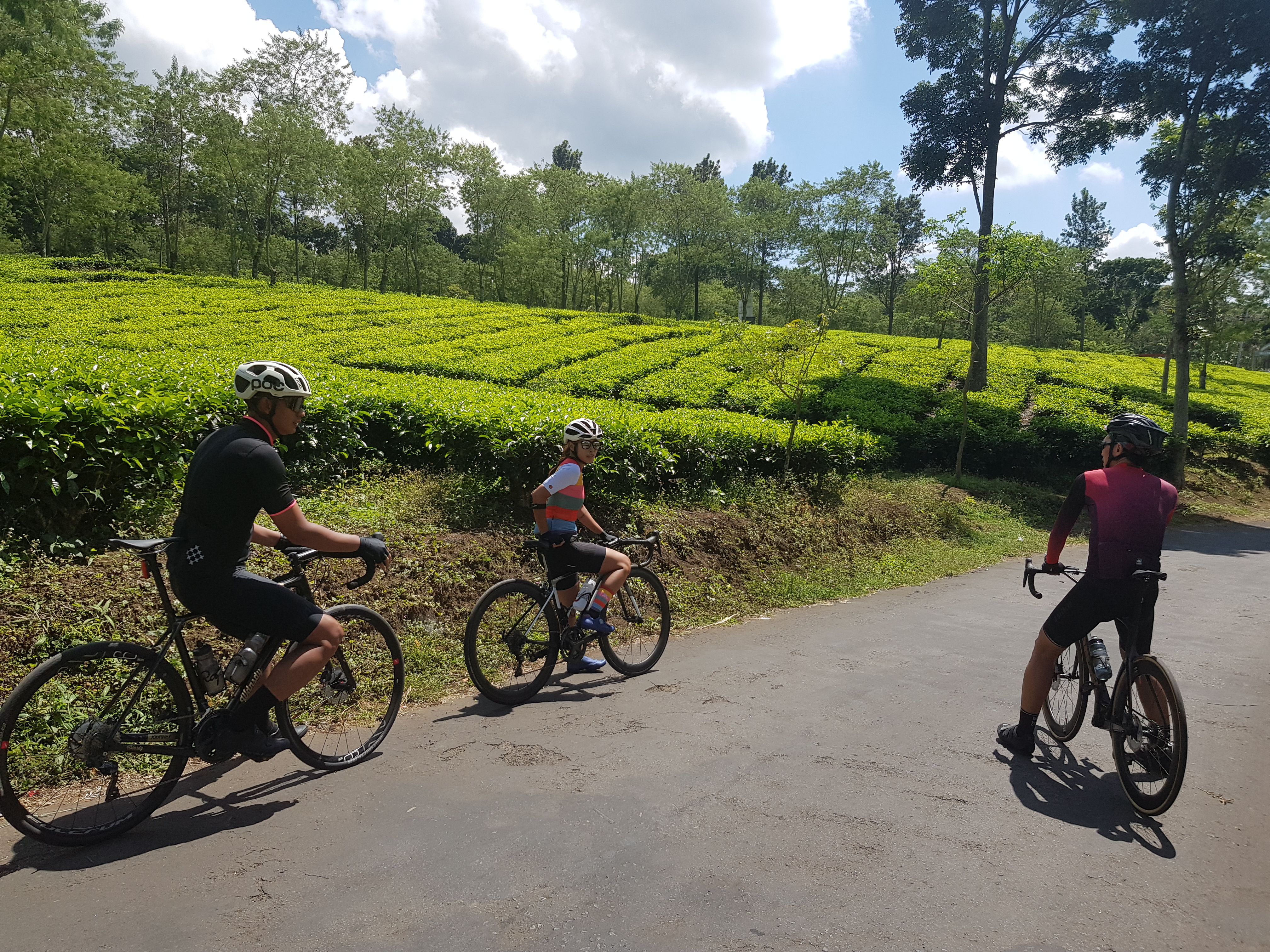 Kebun teh Wonosari Lawang Malang, salah satu destinasi yang patut dicoba saat gowes bareng. Hamparan kebun teh membuat mata segar, pikiran tenang dan hati jadi ayem. (Foto: Istimewa)