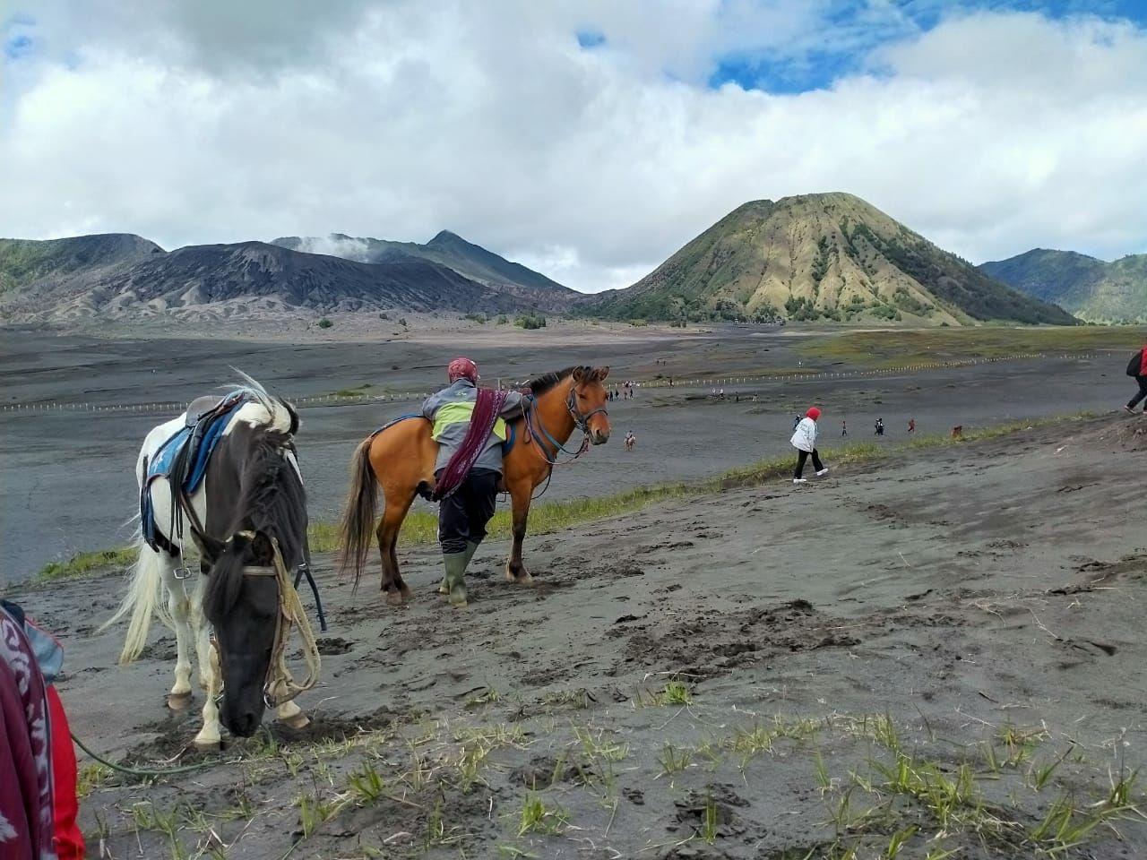 Wisata Gunung Bromo kembali dibuka untuk wisatawan, Jumat, 28 Agustus 2020 mendatang. (foto: Ikhsan Mahmudi/Ngopibareng.id)