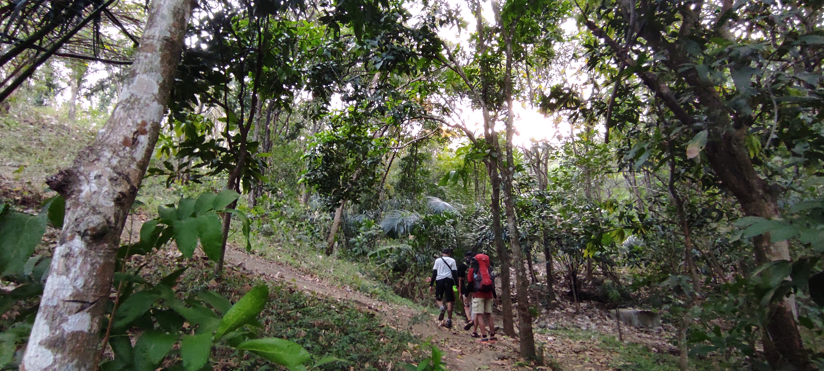 Sejumlah pengunjung melewati jalan setapak menuju puncak Watu Bengkah Gunung Klotok, Kota Kediri. (Foto: Fendi/Ngopibareng.id)