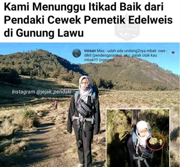 Tangkapan layar akun Instagram@jejakpendaki yang meminta pertanggungjawaban dari cewek pemetik edelweis. (Foto: Instagram@jejakpendaki).