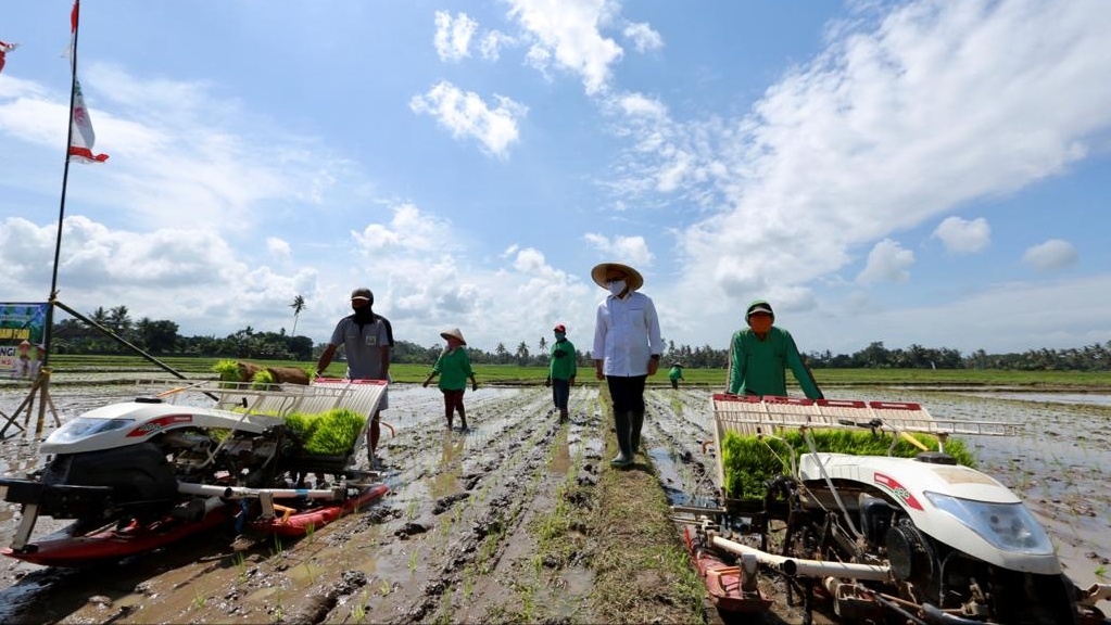 Bupati Banyuwangi Abdullah Azwar Anas melihat penggunaan alat pertanian beberapa waktu yang lalu. (Foto: Istimewa)