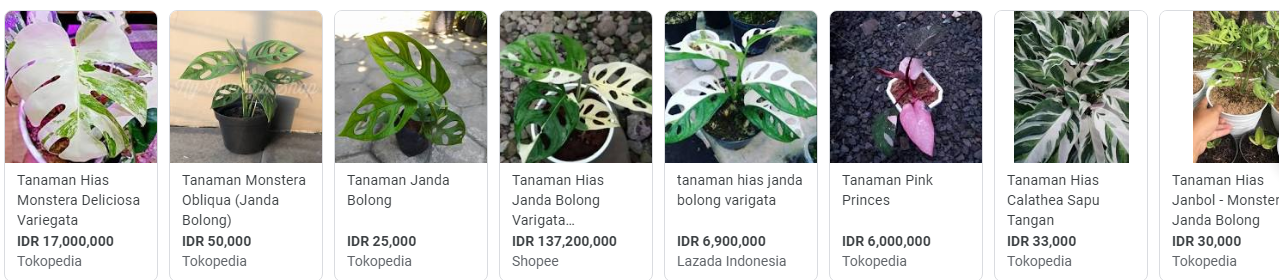 Janda bolong ramai dijual di lapak online. (Foto: Google)