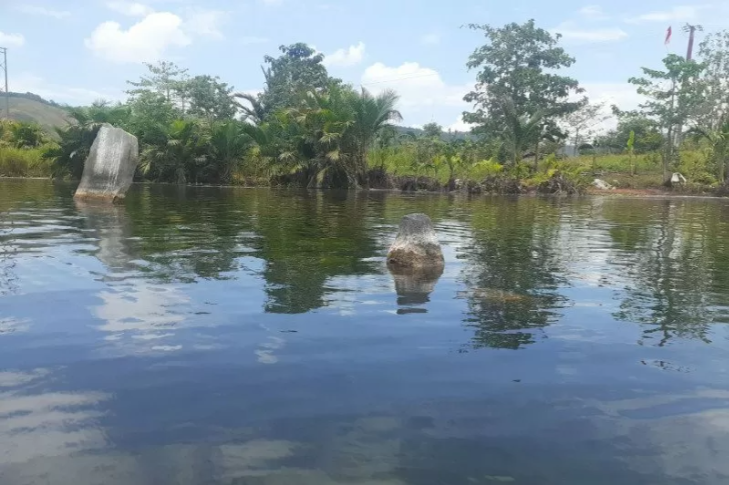 Tinggalan megalitik batu beranak di Pulau Mantai, Danau Sentani bagian barat, Kabupaten Jayapura, Provinsi Papua. (Foto: Antara/Hari Suroto)