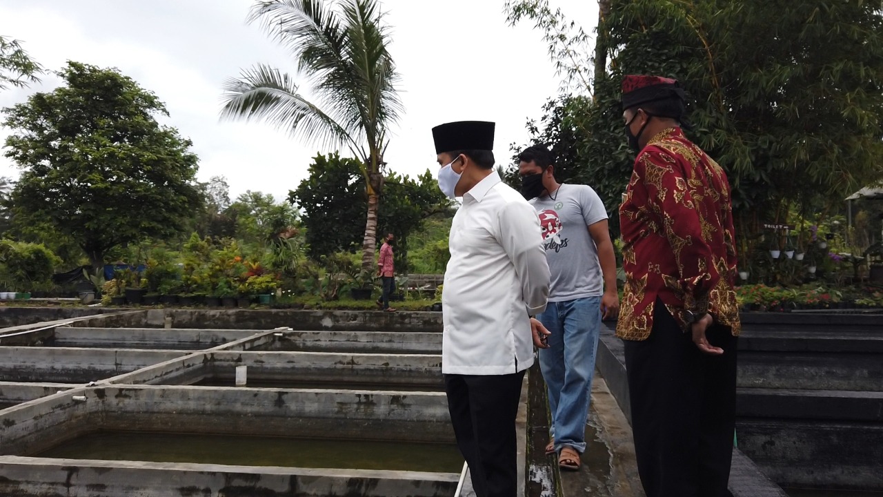 Bupati Banyuwangi Abdullah Azwar Anas melihat usaha ikan koi di Desa  Jambewangi, Sempu (foto:istimewa)