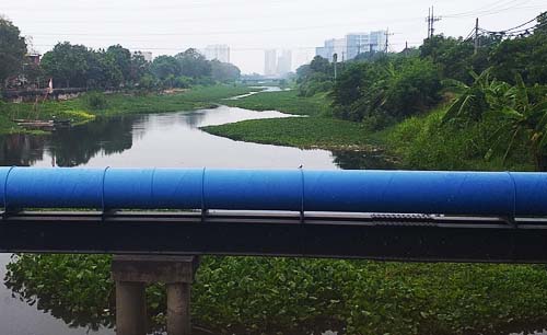 Karena  dipenuhi tanaman eceng gondok,  aliran sungai jadi mengecil mirip selokan, di Kali Surabaya ke arah muara. (Foto: m. anis)