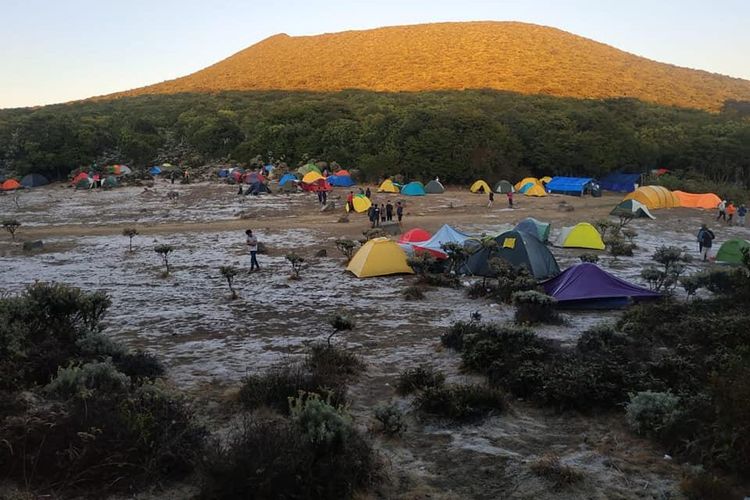 Alun-alun Surya Kencana Taman Nasional Gunung Gede Pangrango saat muncul fenomena padang es, Minggu 6 Oktober 2019. (Foto: APGI/Ade Wahyudi)