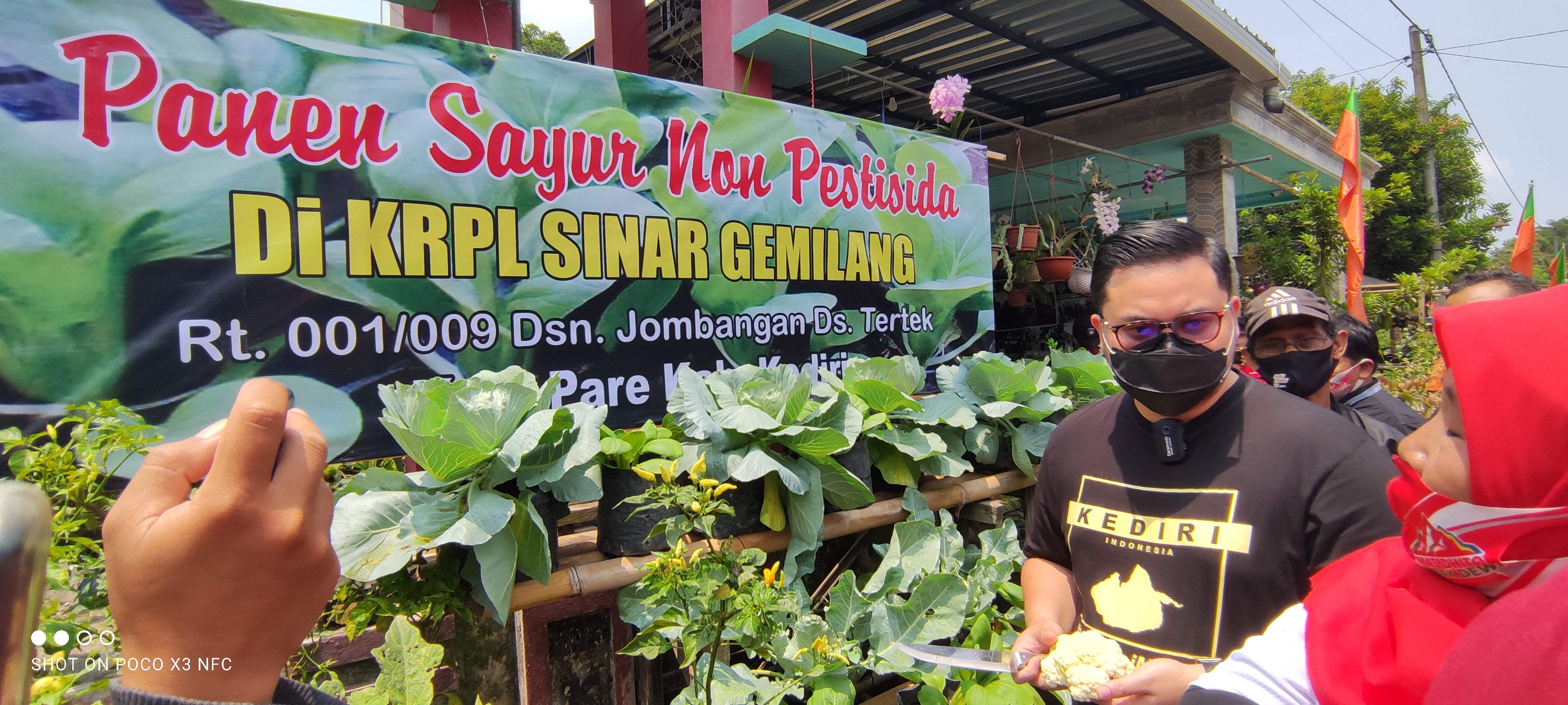 Kelompok tani wanita budidayakan sayuran organik non pestisida. Hasil panennya bisa untuk menambah penghasilan keluarga. (Foto: Fendhy Plesmana/Ngopibareng.id)