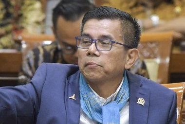 Politisi Partai Demokrat, Hinca Panjaitan. (Foto: Antara)