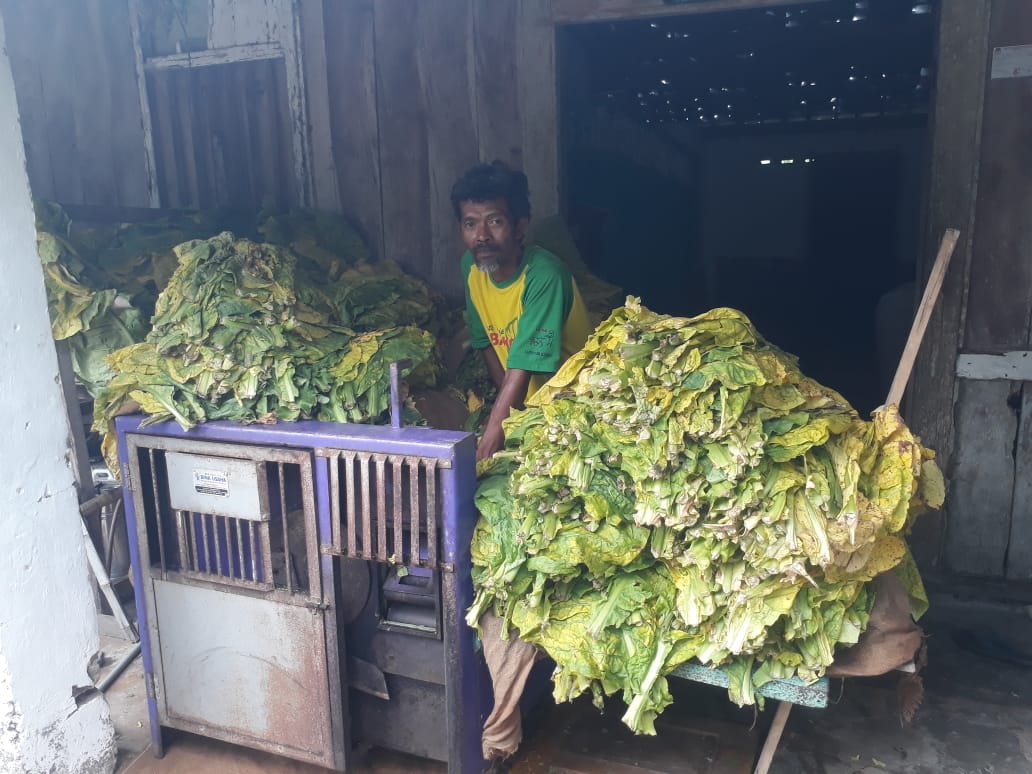 Muhamad Riyadi petani tembakau di Blitar yang merasakan tak perbaikan nasib meski bupati sudah berganti. (Foto: Choirul Anam/Ngopibareng.id)